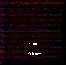 blacks.jpg (15107 bytes)